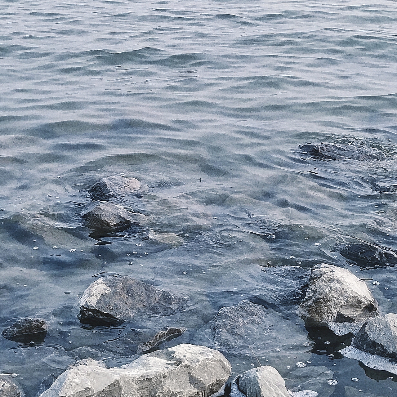 有生命的 无生命的