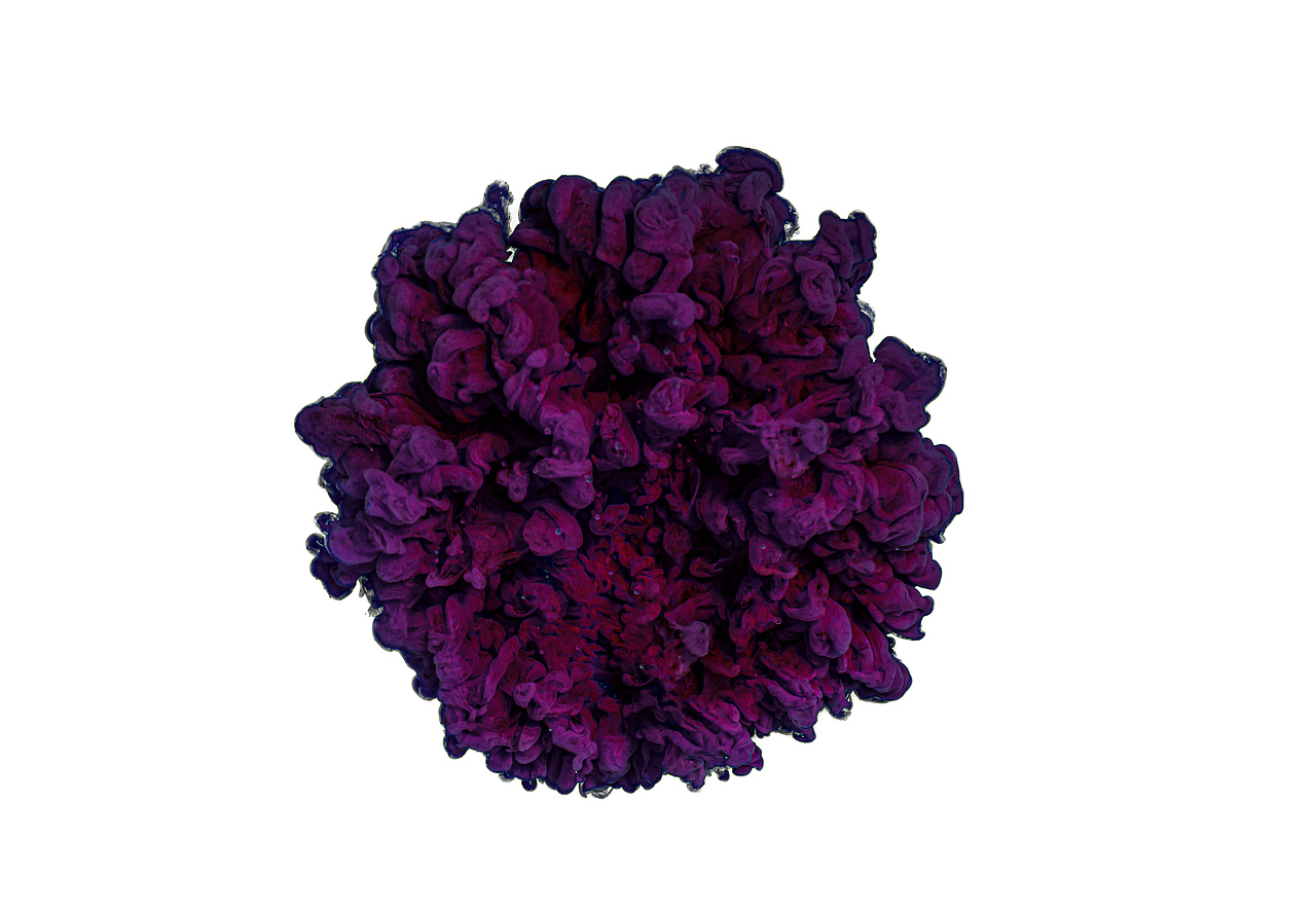 《Everglow》（图ZMTYxMDEwNDIw） - 产品摄影 - 站酷设计师Tomia酱原创素材 - 站酷ZCOOL