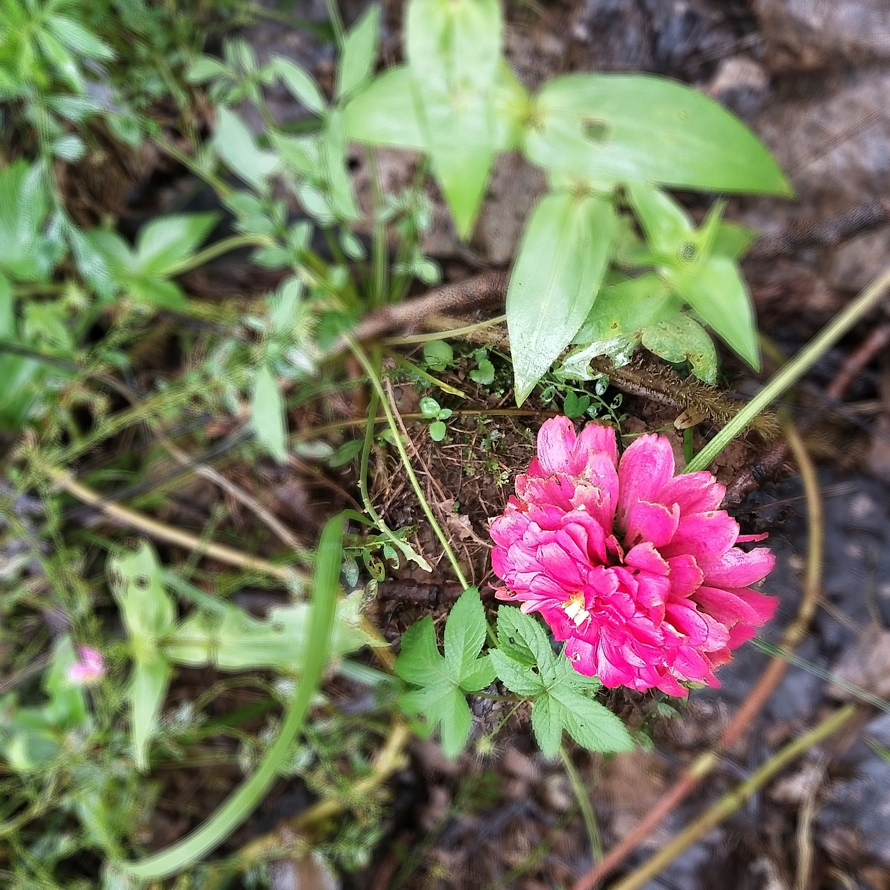 秋初的成贤（图ZOTM2NTg0MTY=） - 风光摄影 - 站酷设计师赵乾巽原创素材 - 站酷ZCOOL