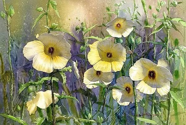 procreate临摹 申宗植水彩画