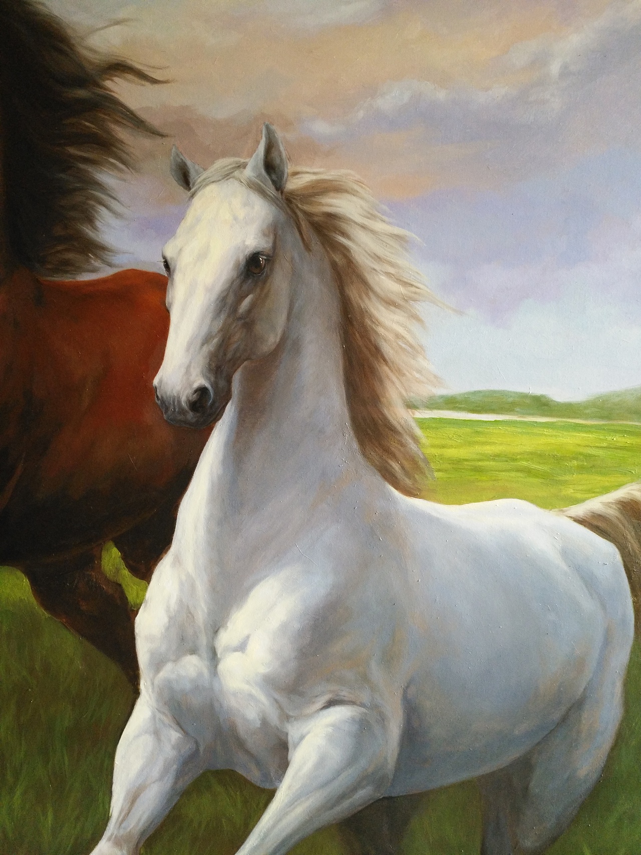 宠物画家刘诗洋