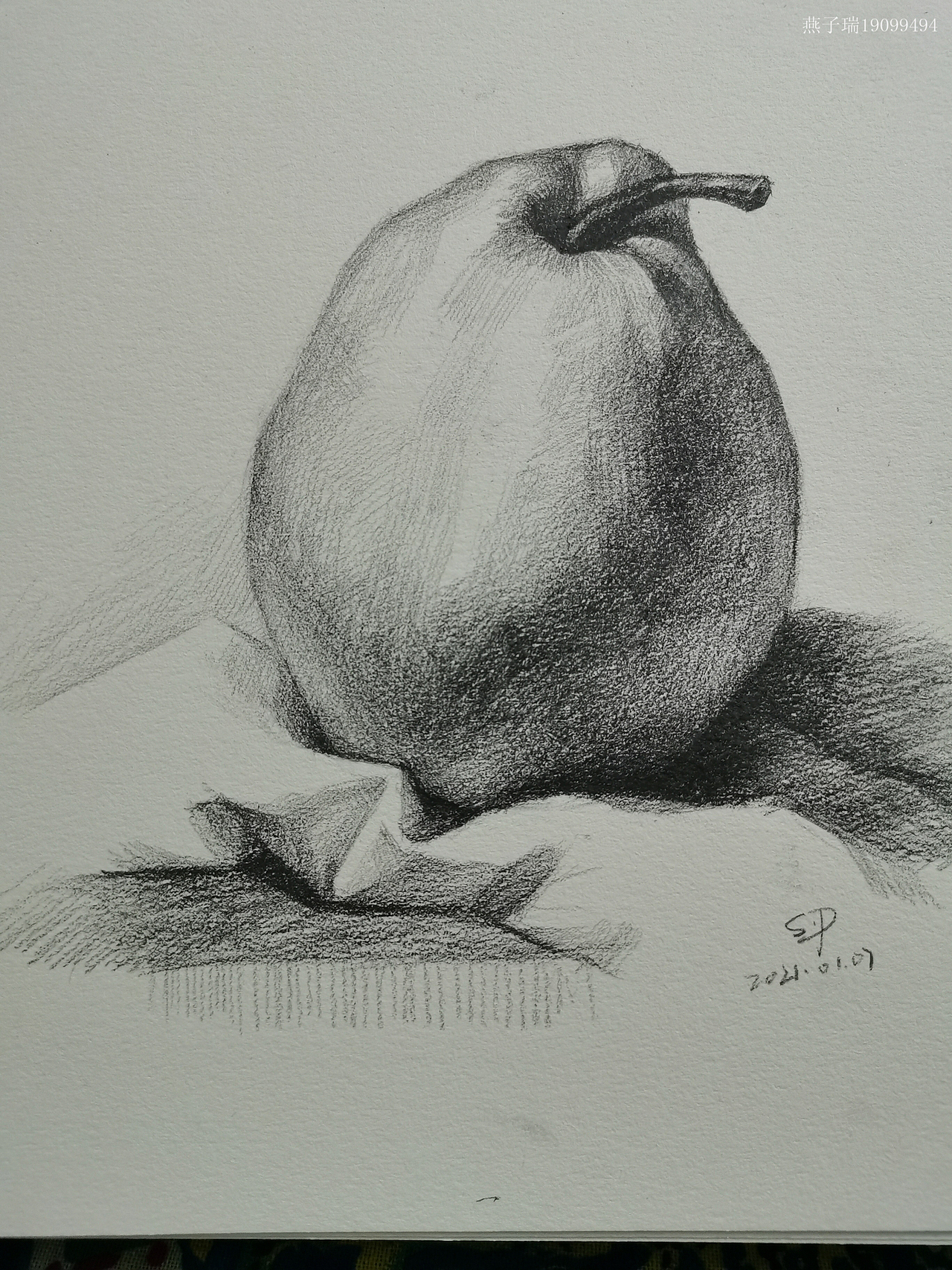 2021年1月份素描练习作业（图ZMjQ5NTYxNTky） - 绘画 - 站酷设计师麻辣花生豆原创素材 - 站酷ZCOOL