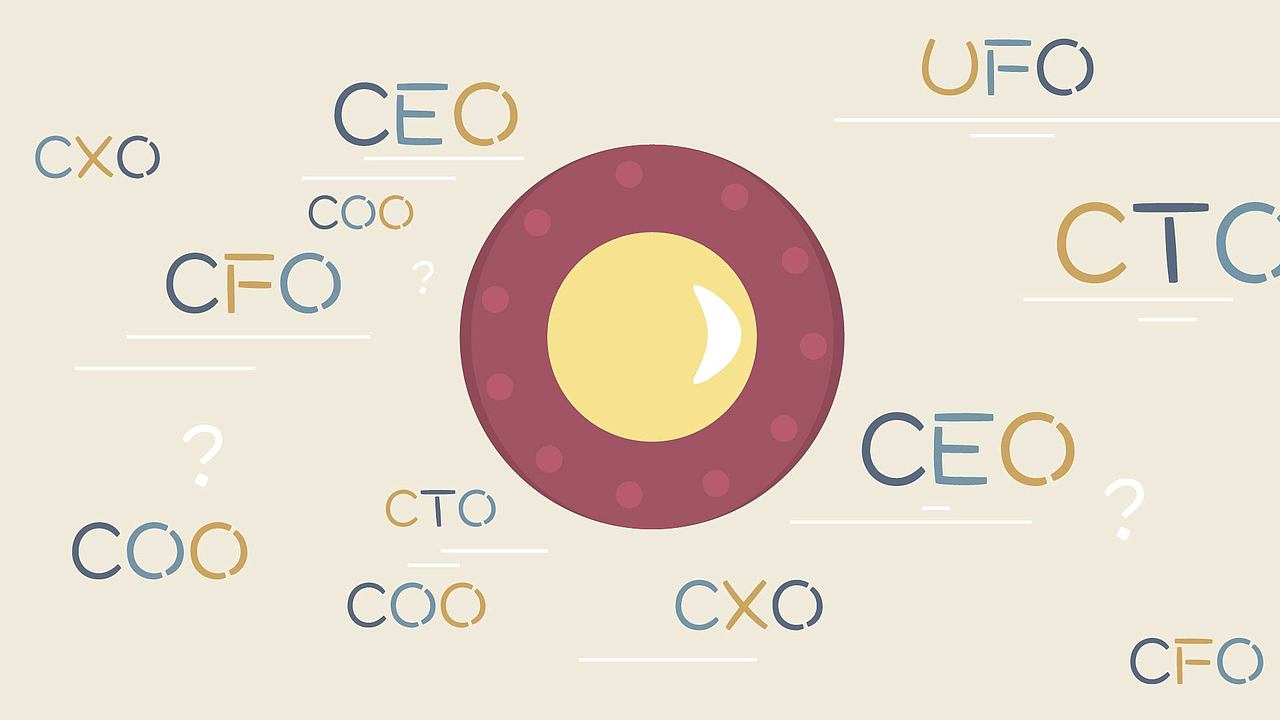 《新手开公司》