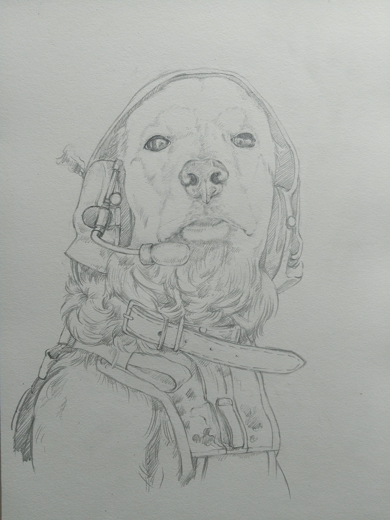 手绘（图ZMTY3MzY4Nzcy） - 绘画 - 站酷设计师一色吨吨吨原创素材 - 站酷ZCOOL