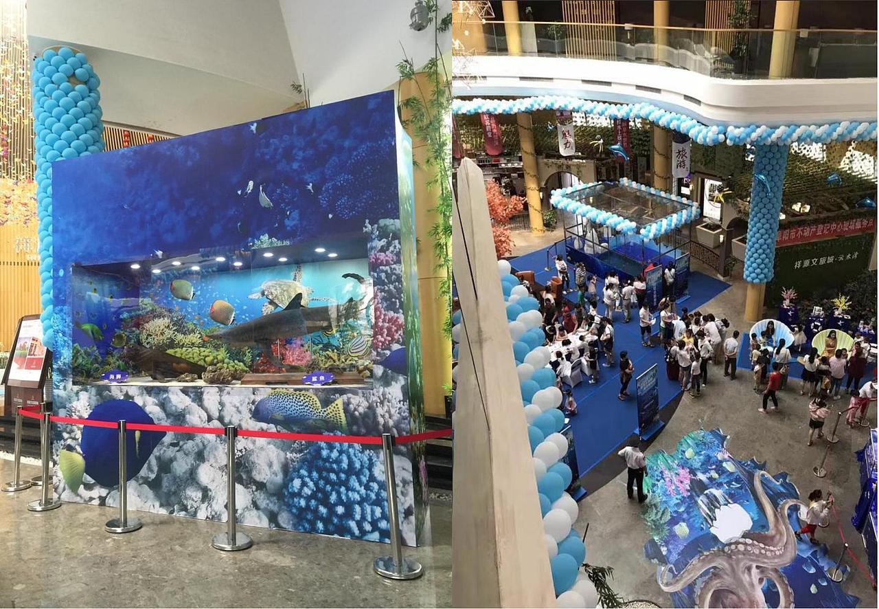 2017阜阳XXX海洋梦幻季活动执行方案-烽策网