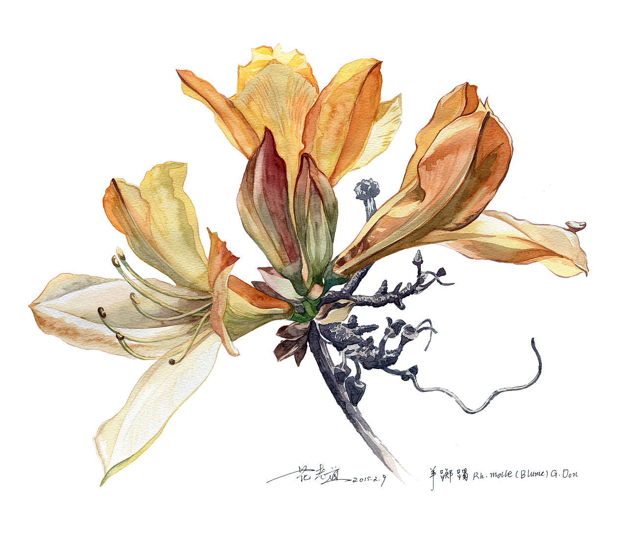 有一种毒药你无法抗拒,尽管病入膏肓也不想寻找解药~~