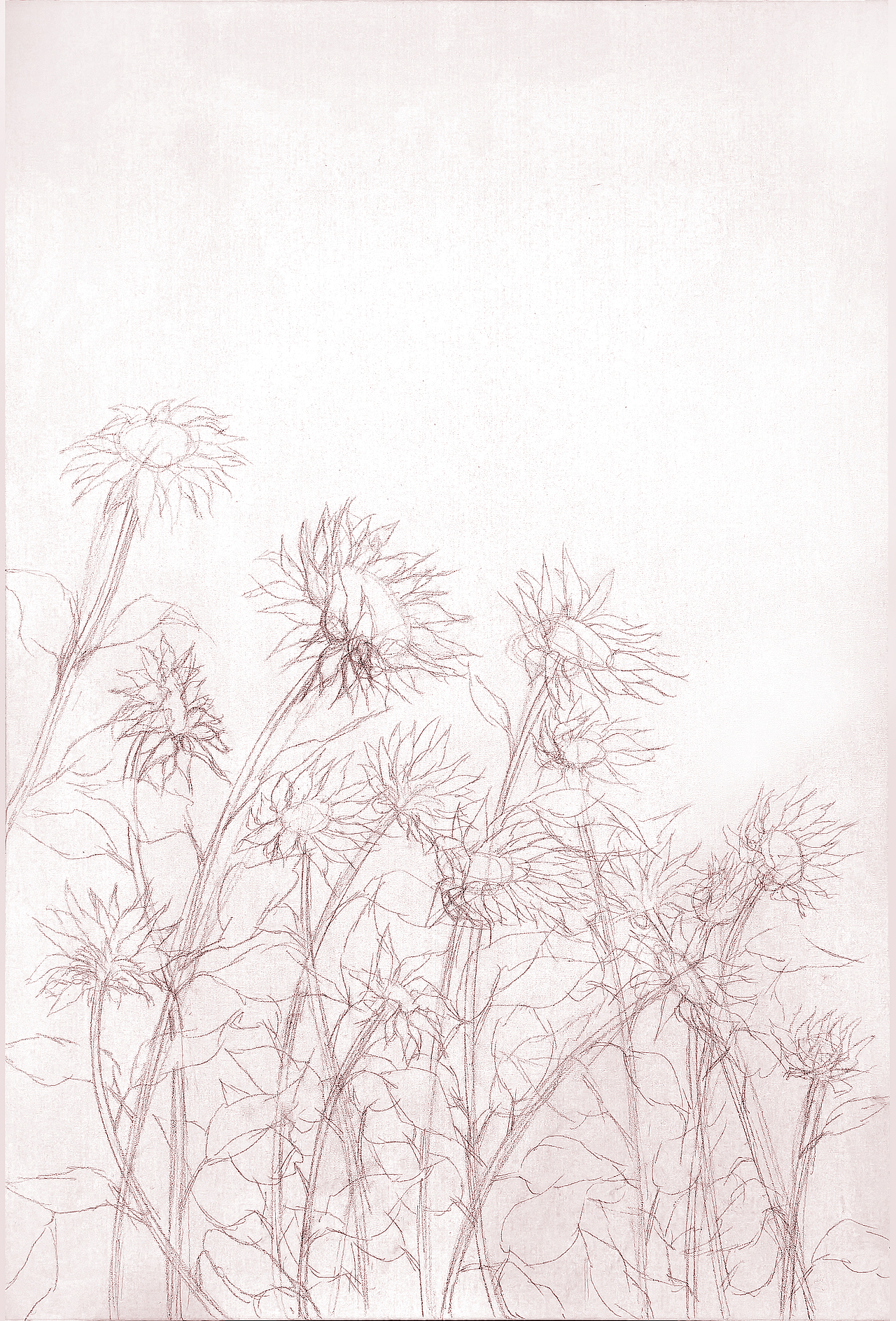 【释心绘匠工作室】向日葵丙烯画