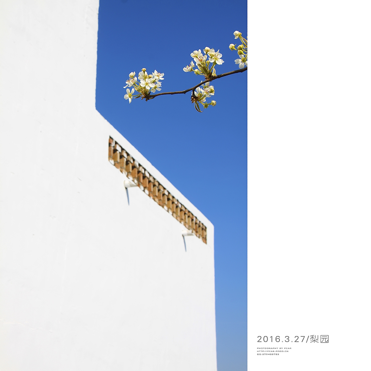 2016.3.27/梨园（图ZNDUzNTU3OTY=） - 风光摄影 - 站酷设计师pear1103原创素材 - 站酷ZCOOL