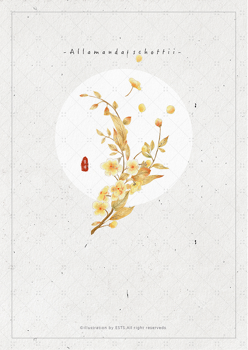 那些花儿-肆（图ZMTM3OTQwMDEy） - 创作习作 - 站酷设计师ESTS原创素材 - 站酷ZCOOL