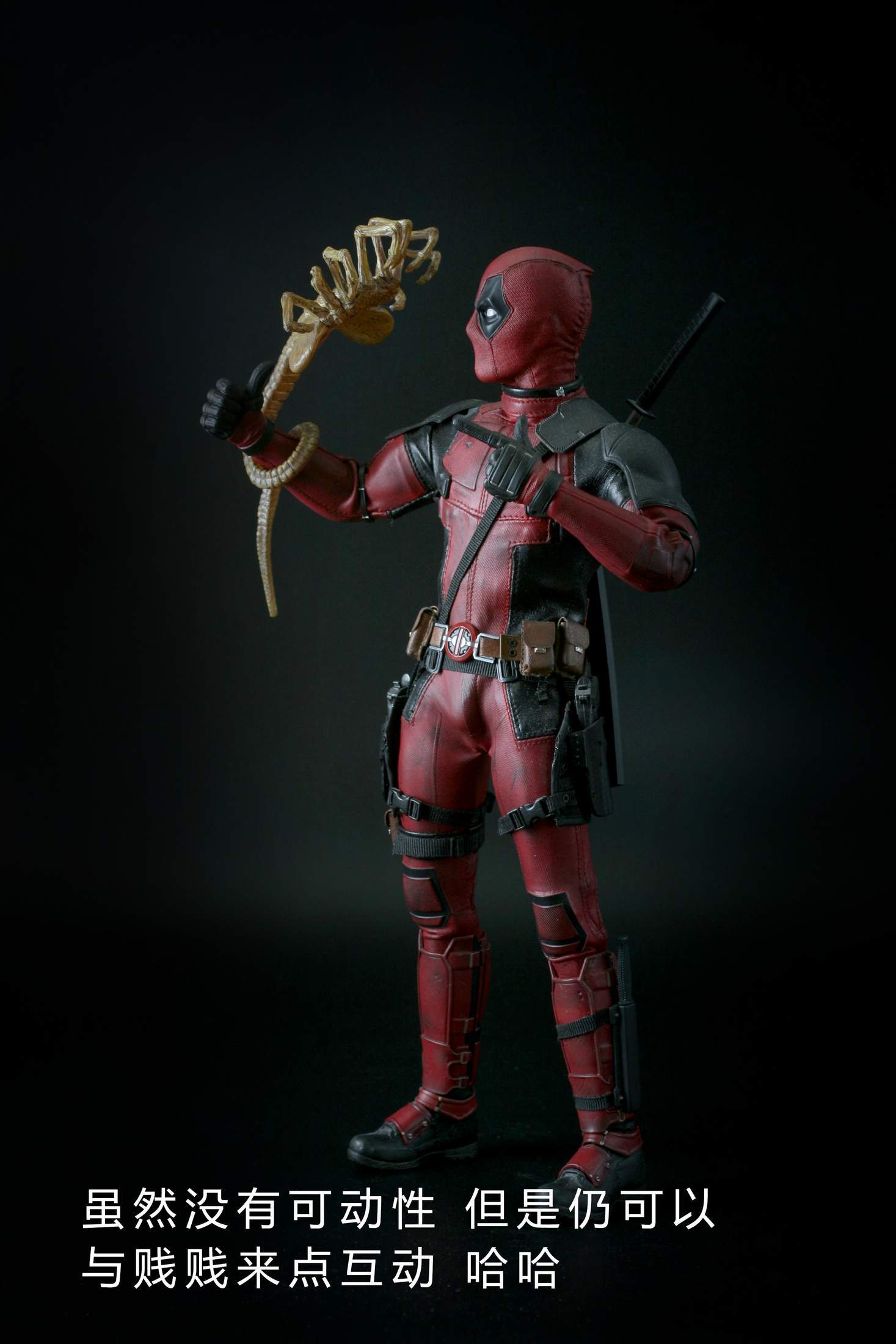 眉间白火TAN开箱-TWOFACE 寄生体幼虫 1\/6