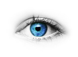 三折页（个人主页-ZMjM5MjMyNjQ=） - 宣传物料 - 站酷设计师小春春的作品集原创素材 - 站酷ZCOOL