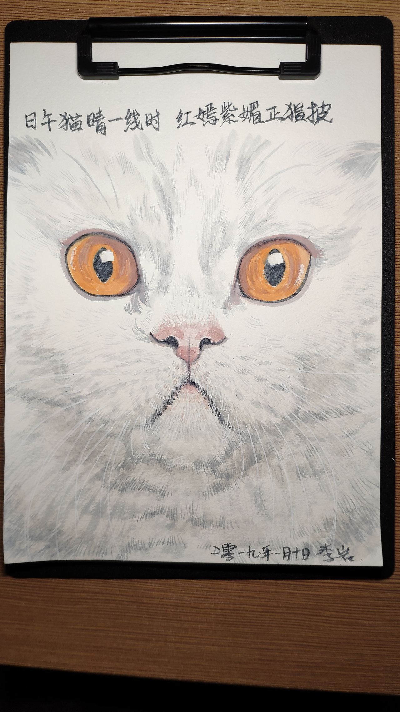 小猫（图ZMTQxNzM1OTQ0） - 绘画 - 站酷设计师李拜天轩辕十四原创素材 - 站酷ZCOOL
