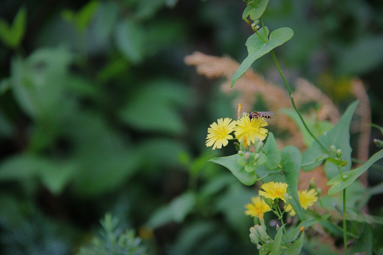 千年古刹潭柘寺