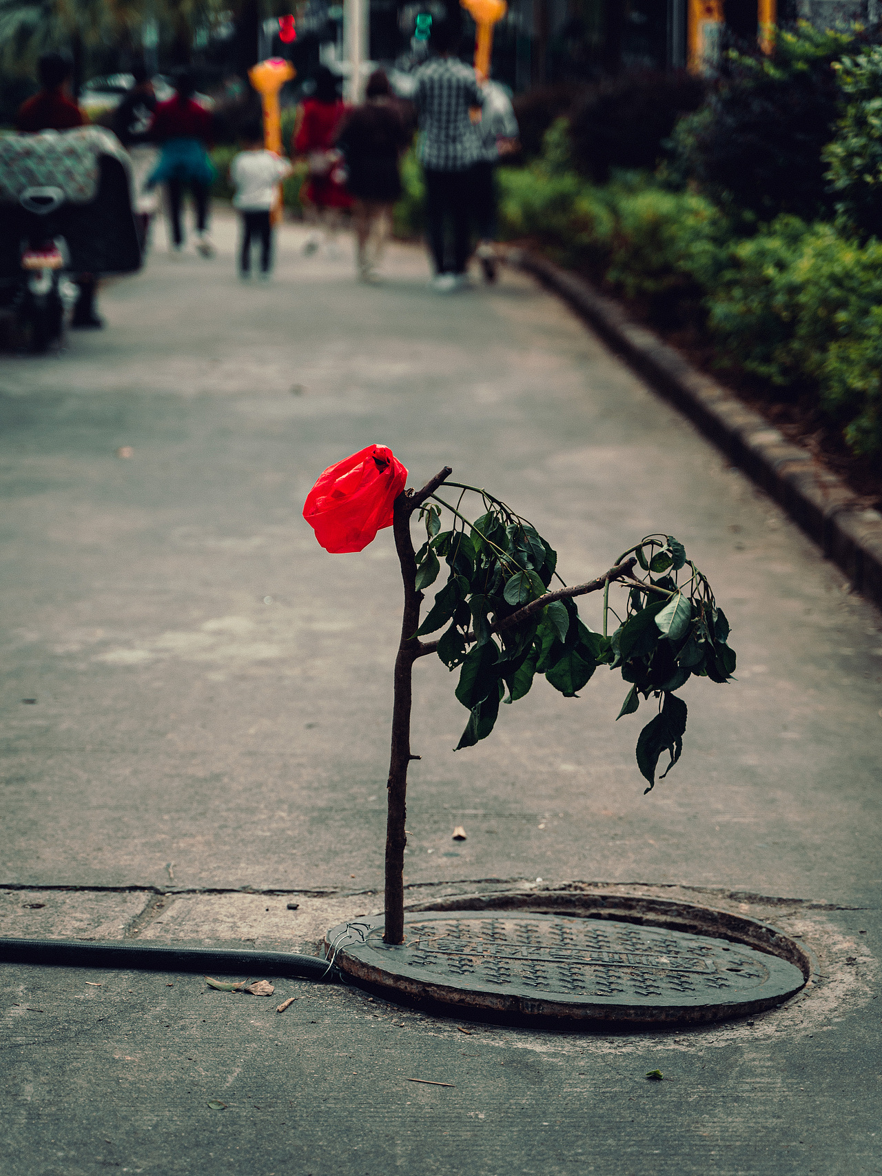 【VOLG 1】扫街摄影日记，第一次扫街的图片与视频总结（图ZMjMyODM0NDY4） - 人文/纪实摄影 - 站酷设计师莫傲子炎原创素材 - 站酷ZCOOL