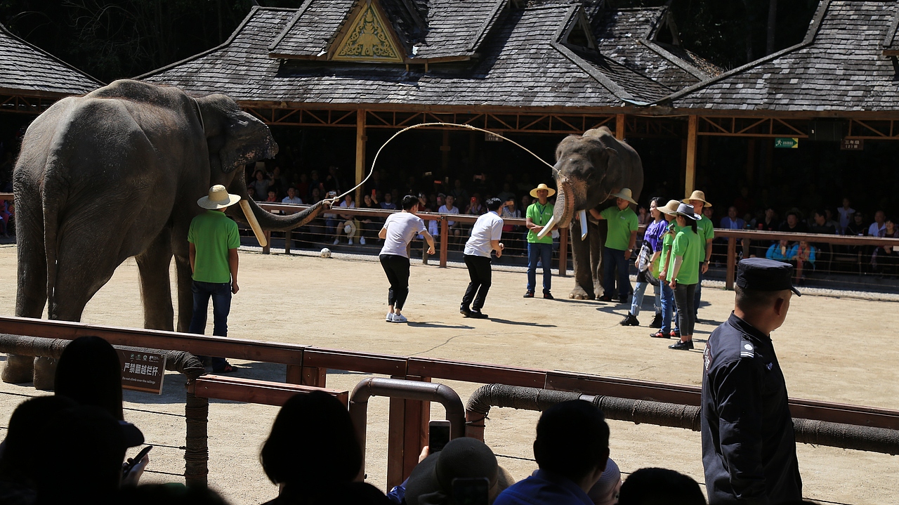 在一群野蛮人中看表演...