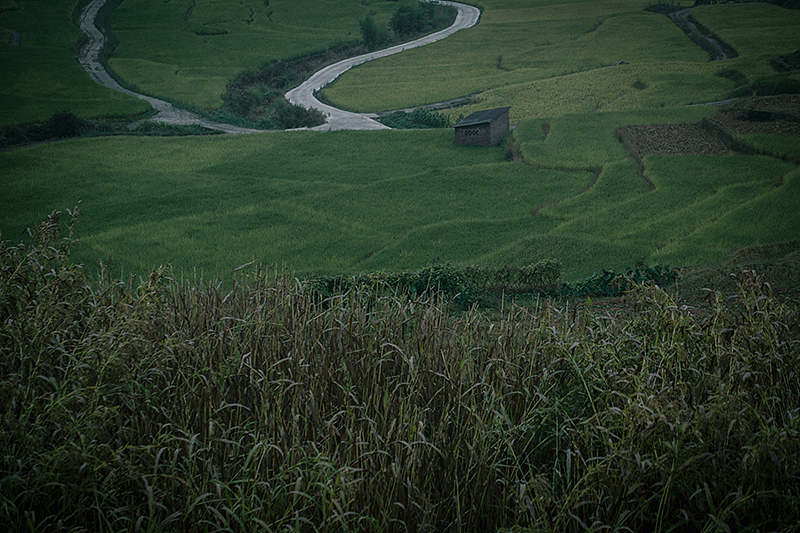 空回首,烟霭纷纷。