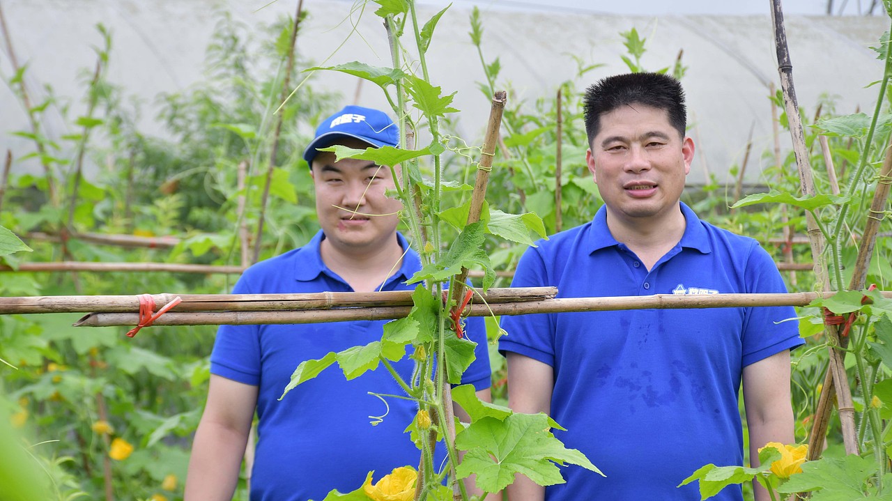 陈老汉出品 | 黄篮子生鲜连锁品牌VI视觉体系制造