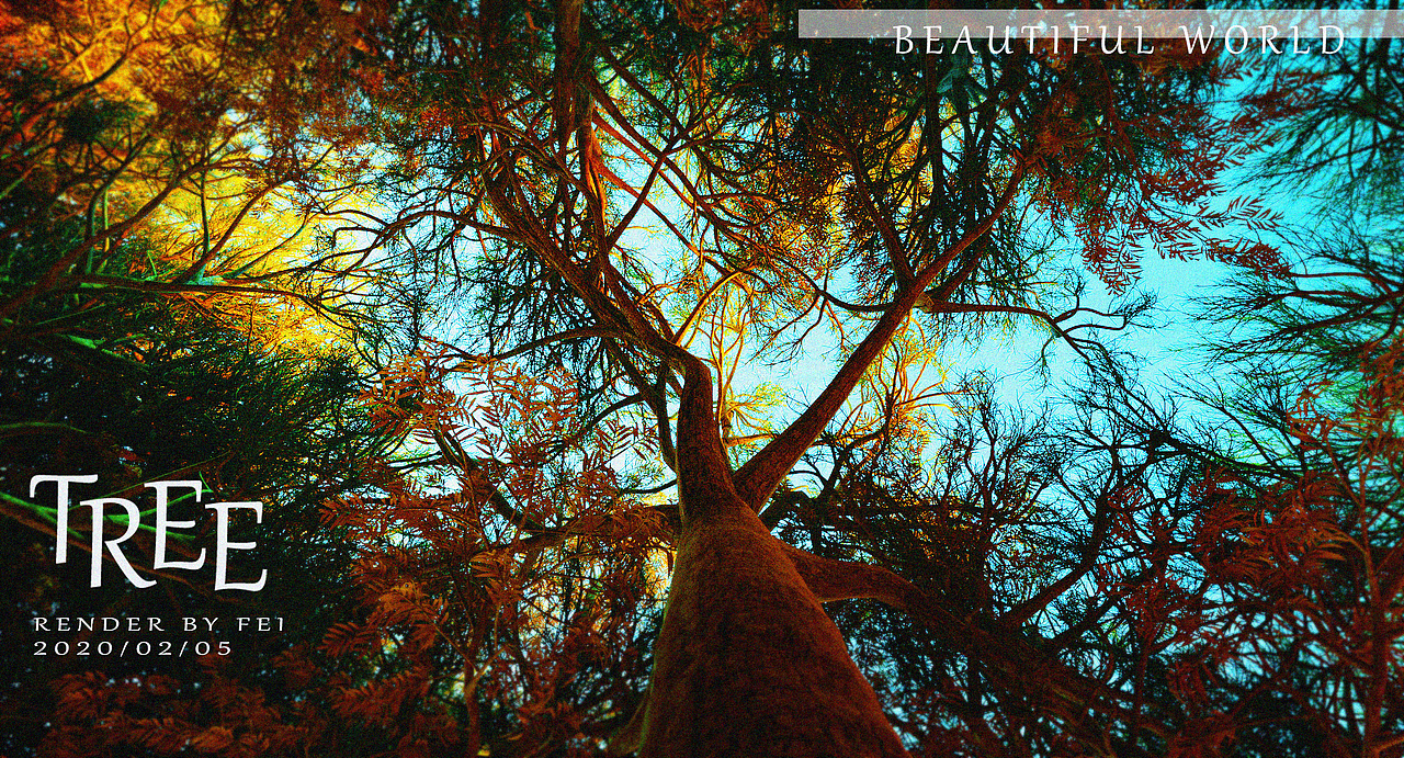 2020年三维项目总结