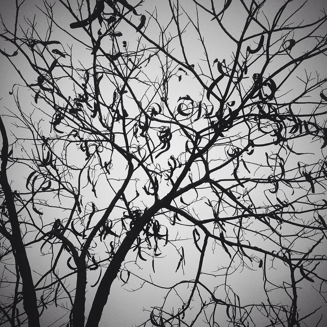 缘来珍惜，缘尽离去。