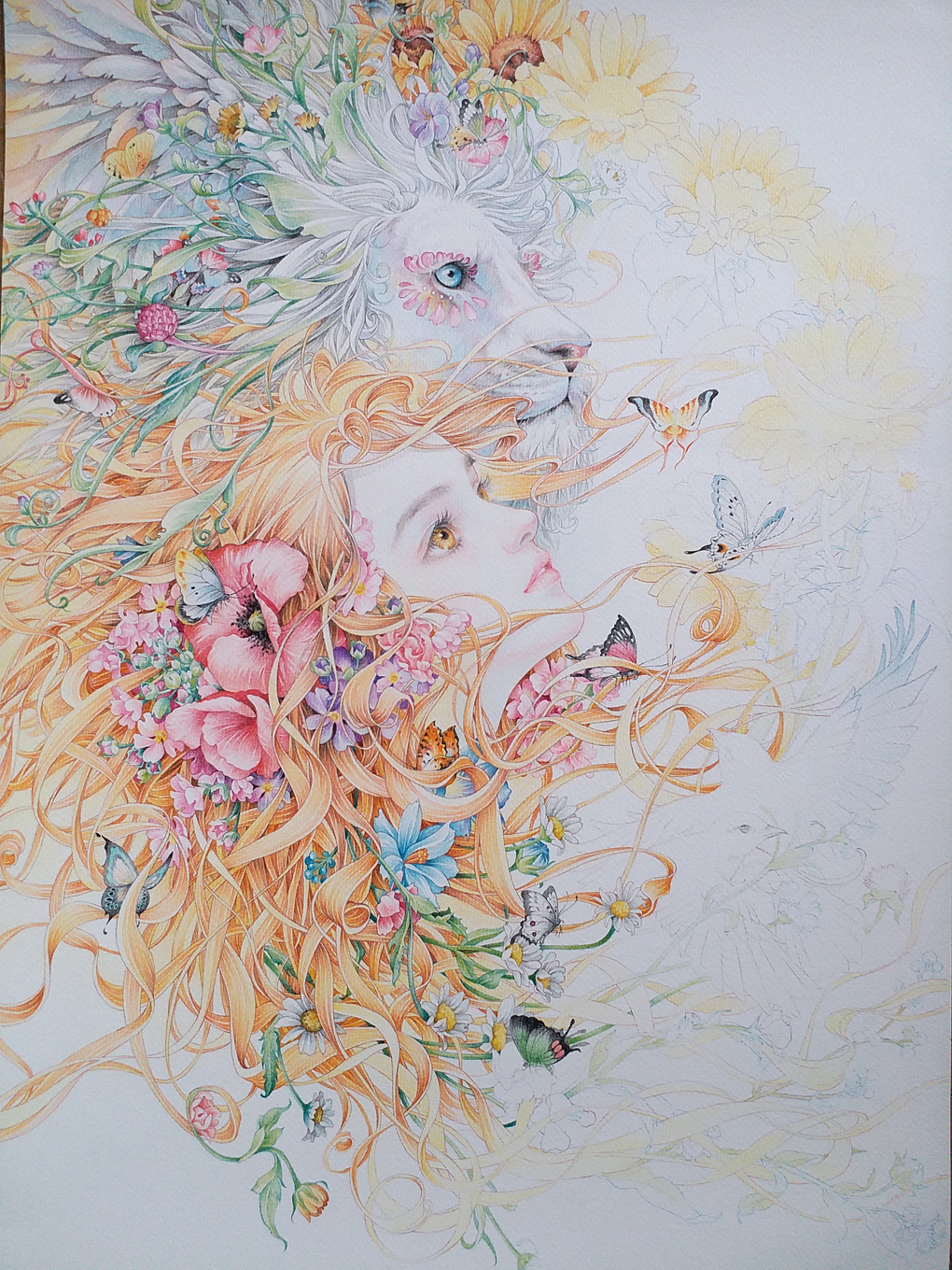 十二星座——狮子座