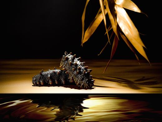 海参还能这么拍，山海藏悟 海参创意拍摄