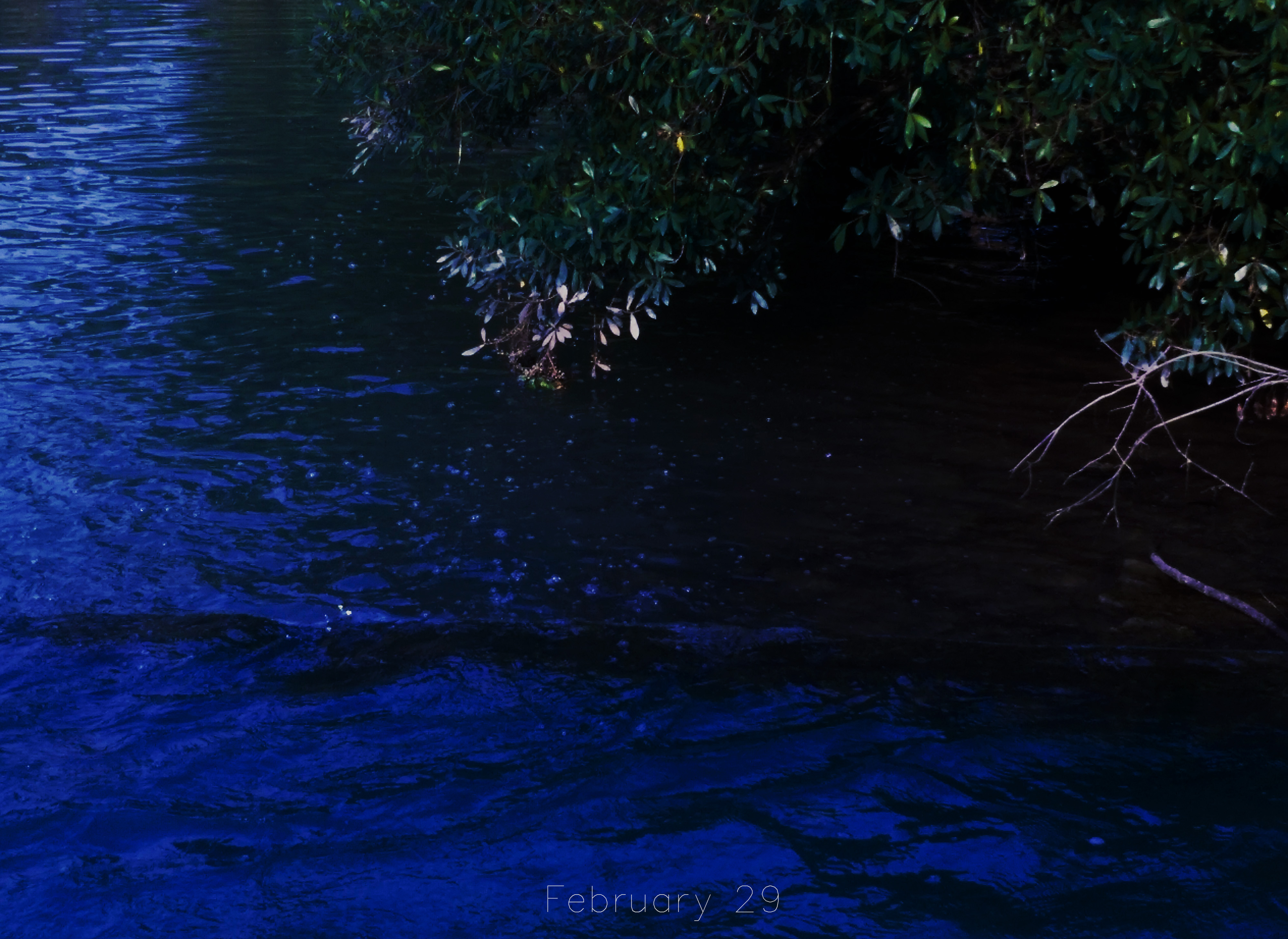 ZHIER之鹅的个人主页（封面预览） - 主页封面设置 - 站酷设计师ZHIER之鹅原创素材 - 站酷ZCOOL