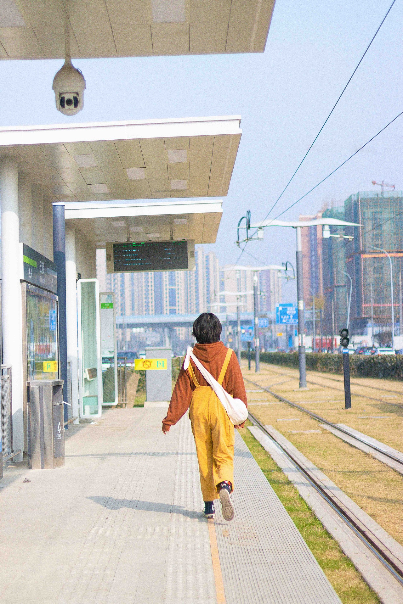 “你看，学校的银杏都落了”（图ZMTkzNDc0OTE2） - 人像摄影 - 站酷设计师如素素呀原创素材 - 站酷ZCOOL