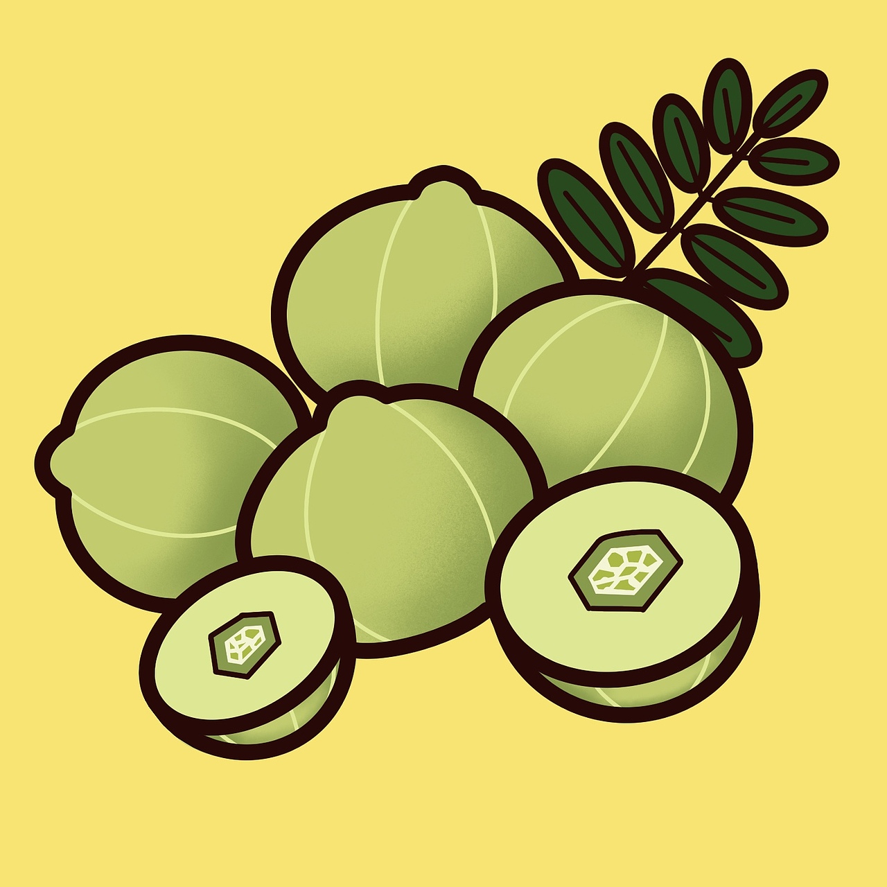 水果插图（图ZMjgxMzgxNzA4） - 商业插画 - 站酷设计师豆米麻麻呀原创素材 - 站酷ZCOOL