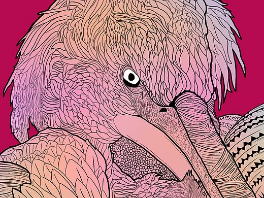 插画风格练习【算是国潮风的杂毛鸟】（个人主页-ZNDMxODM1MzI=） - 创作习作 - 站酷设计师张小黑LilBlack原创素材 - 站酷ZCOOL