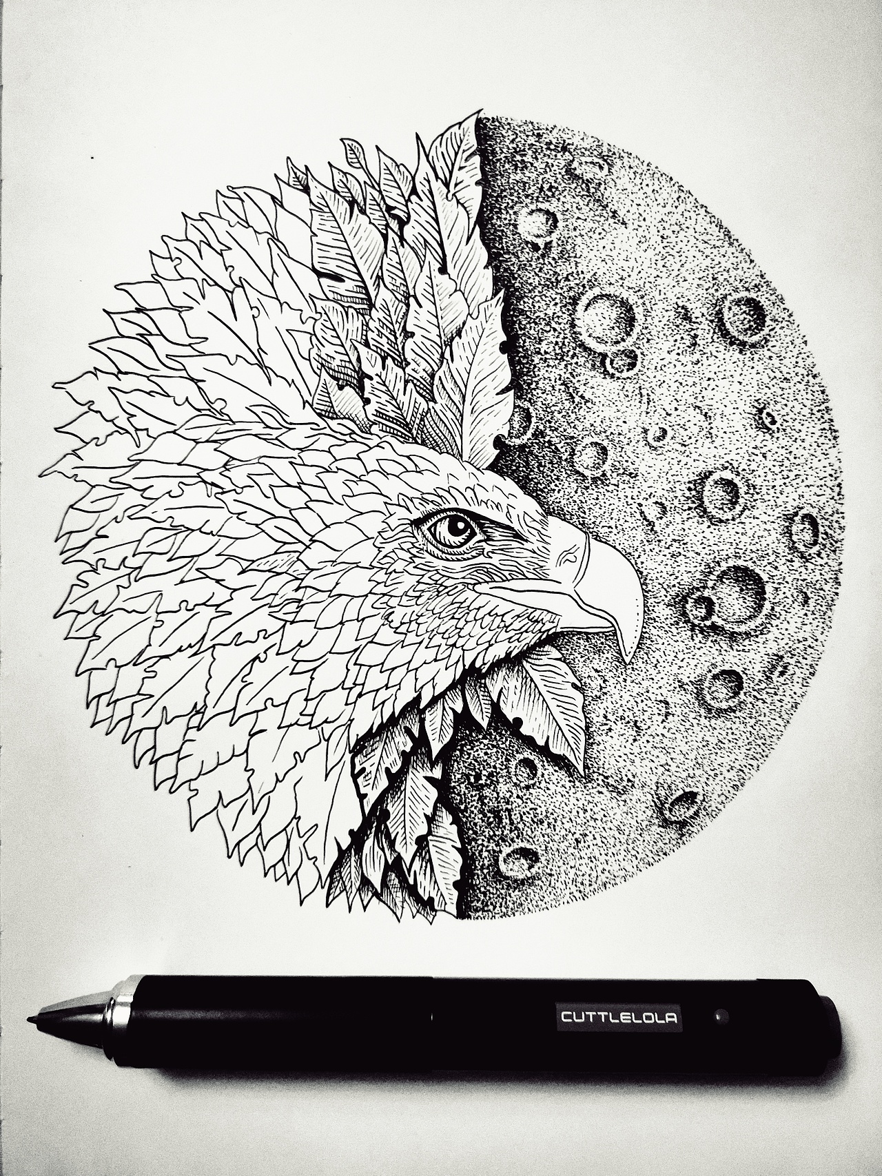 月亮和鹰（图ZMjA0MjQyMDYw） - 新锐潮流插画 - 站酷设计师shuiyao2000原创素材 - 站酷ZCOOL