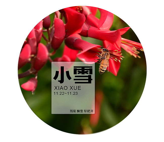 二十四节气字体设计（图ZMTEwNjYxODQ=） - 字体/字形 - 站酷设计师66上帝原创素材 - 站酷ZCOOL