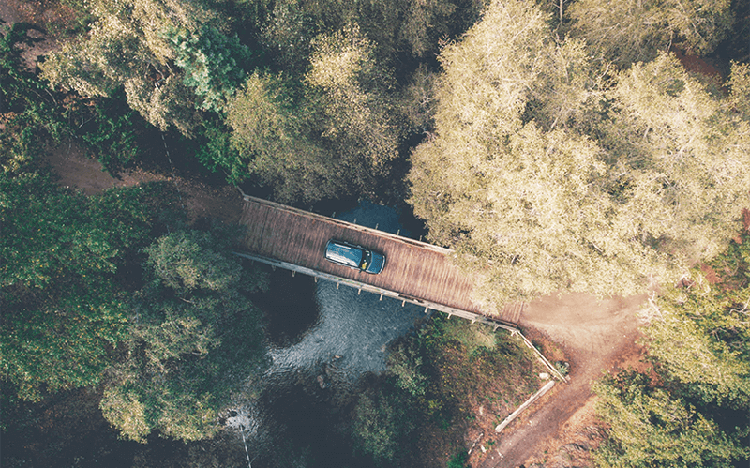 胖魚來巡山的個人主頁（背景預覽） - 主頁背景設置 - 站酷設計師胖魚來巡山原創(chuàng)素材 - 站酷ZCOOL