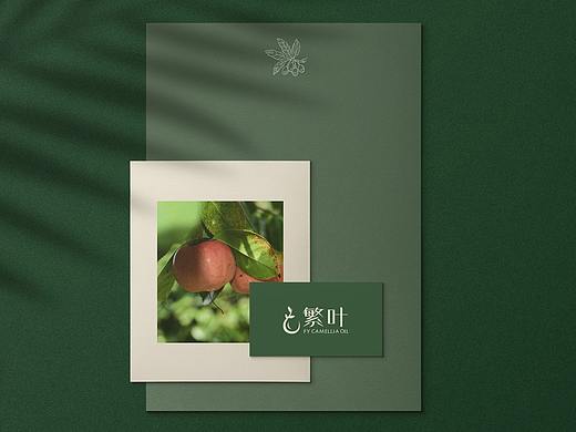 食品品牌/logo设计