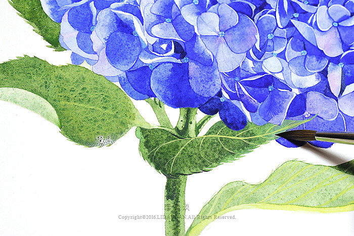 如植物般自由生长