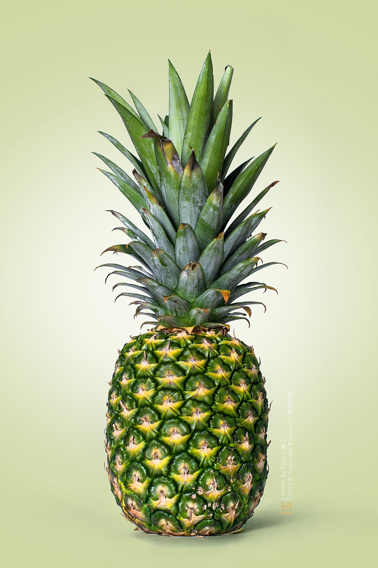 水果蔬菜（图ZMjk0MDExODY0） - 美食摄影 - 站酷设计师rijan原创素材 - 站酷ZCOOL