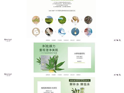 电商一屏式官网