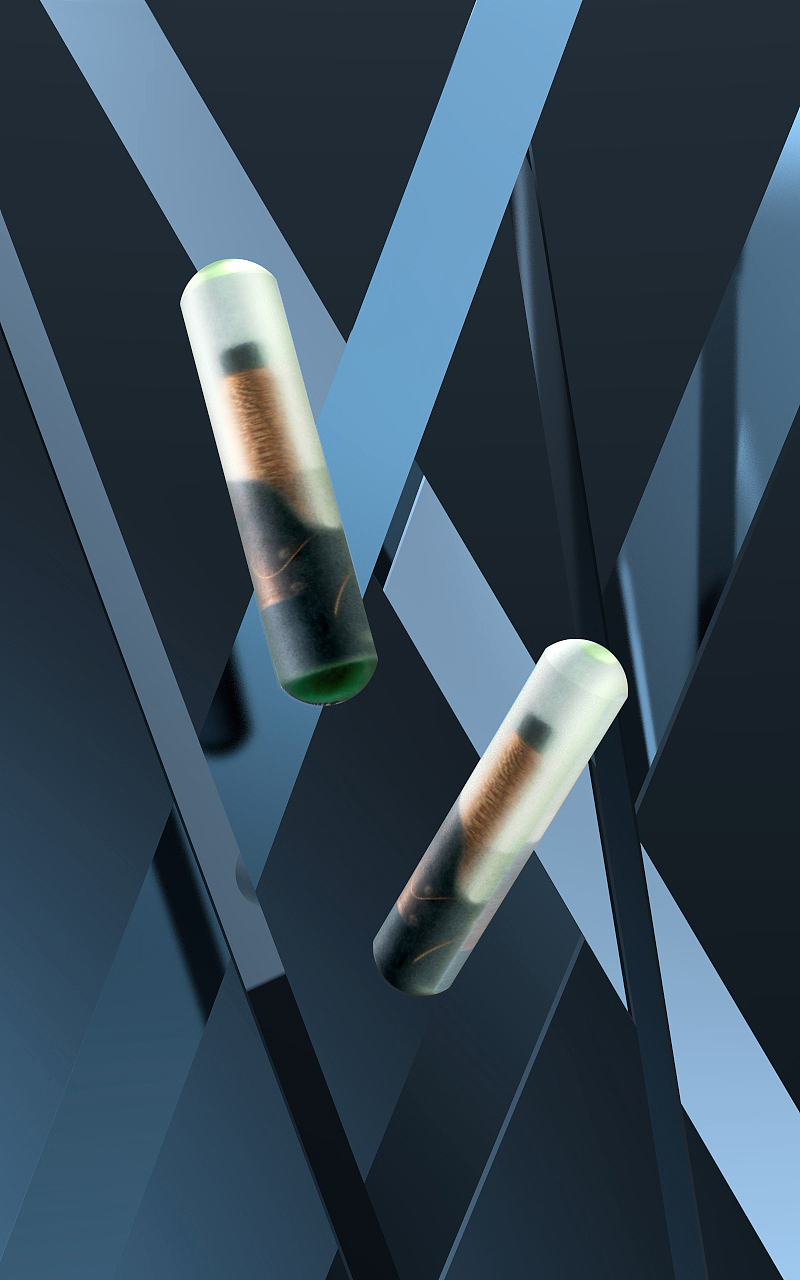 壹宠壹芯|宠物芯片拍摄