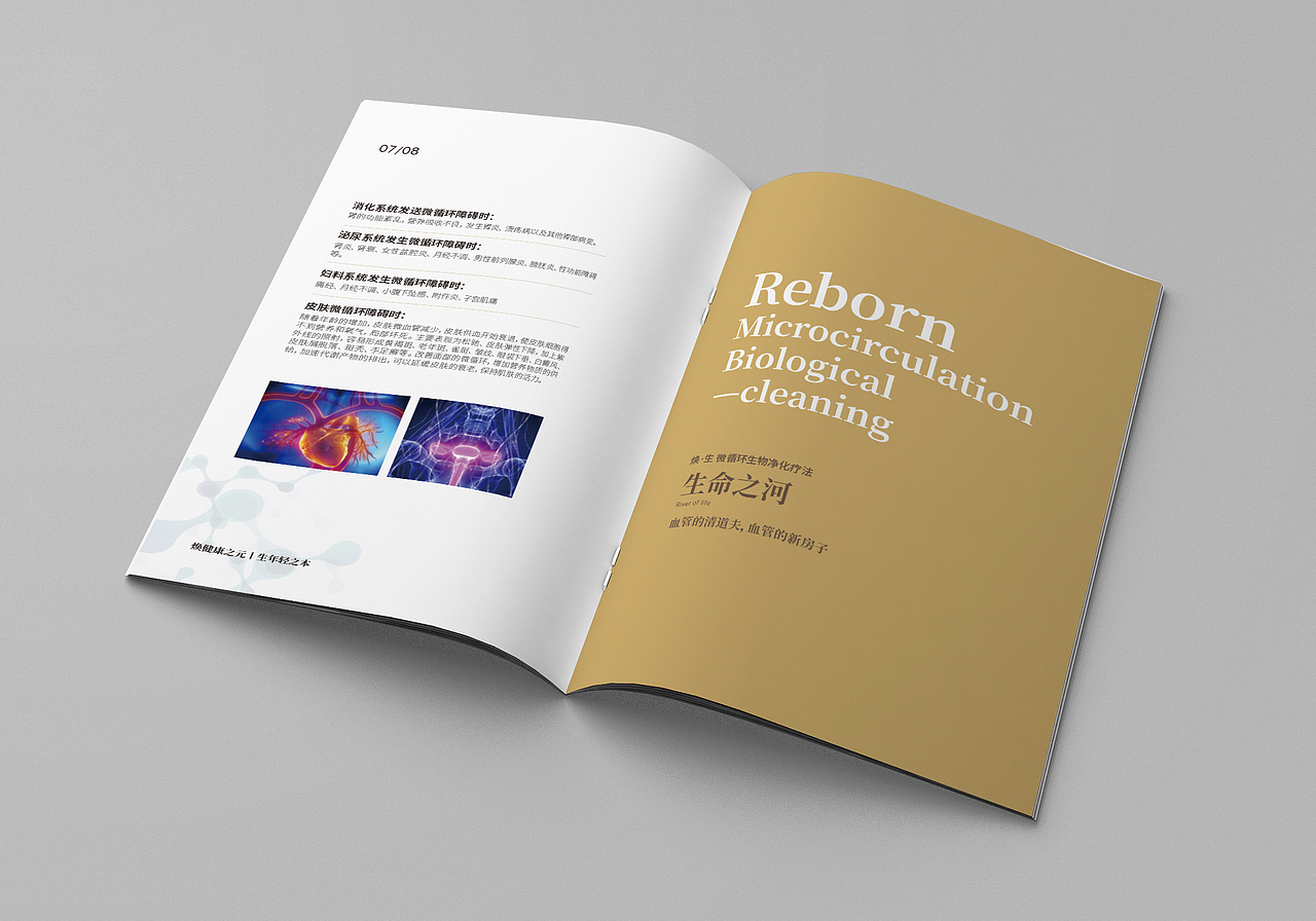 焕生——微循环