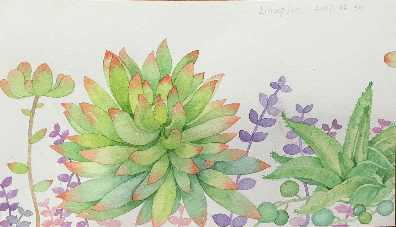 可爱的多肉肉（图ZMTU4MzU0MjQ0） - 绘画 - 站酷设计师慧画社原创素材 - 站酷ZCOOL