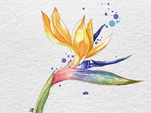 图形创意苹果的联想发散思维