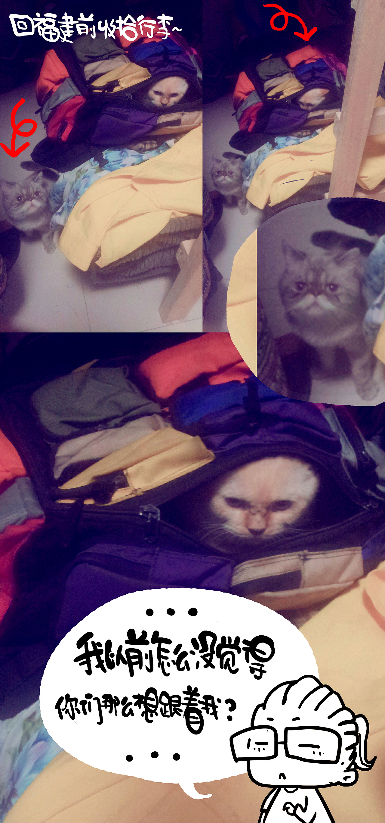 我的家的二大宝新专辑!《拜基vs反丁》~啊哈哈最新弹~