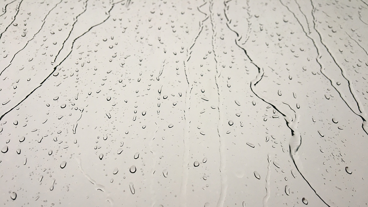 六月雨.广州（图ZMTE2OTMyNTI4） - 风光摄影 - 站酷设计师树君摄影原创素材 - 站酷ZCOOL