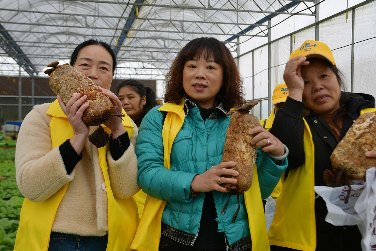 黄篮子生鲜连锁图片素材库 - 站酷图片网
