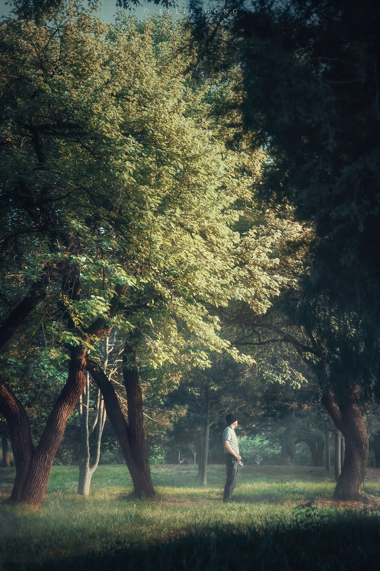 屬于我們的故事（圖ZMzQxODk0Njcy） - 其他攝影 - 站酷設(shè)計(jì)師3lliegong原創(chuàng)素材 - 站酷ZCOOL