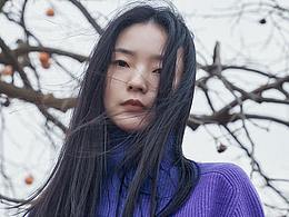 素材