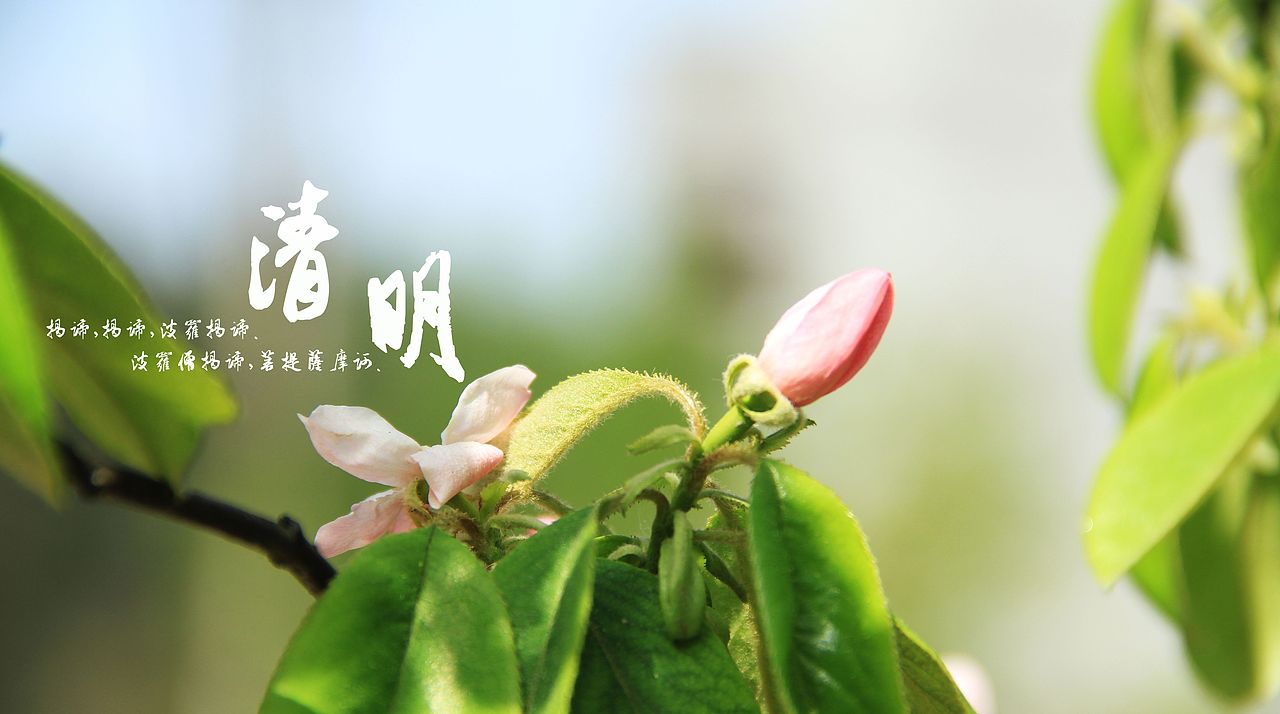 大桥下的石头（图ZODkzMzkwMA==） - 风光摄影 - 站酷设计师半道子原创素材 - 站酷ZCOOL