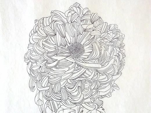 菊系列（四）