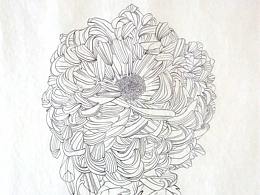 菊系列（四）