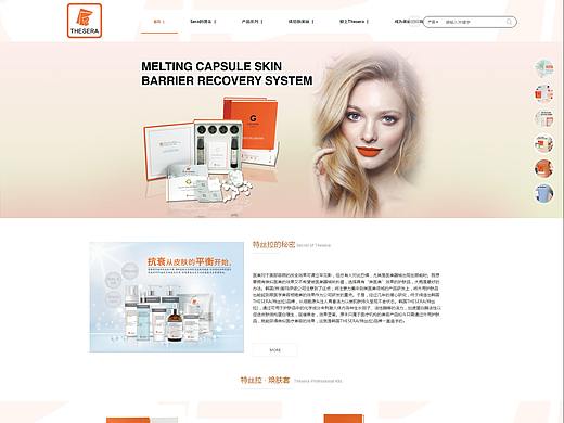 特丝拉网站(中国区)