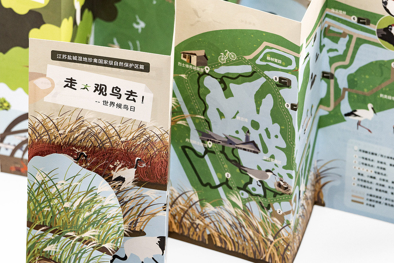世界候鸟日-观候鸟折页及海报